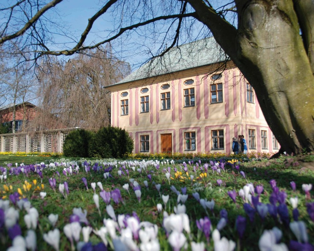 Kopfbilder
